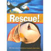 Puffin Rescue! (American)