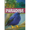 Birds in Paradise (American)