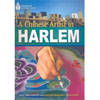 A Chinese Artist in Harlem (American)